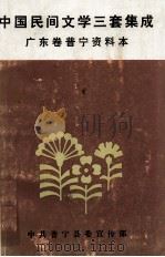 中国民间文学三套集成  广东卷普宁资料本（ PDF版）