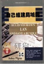 自己组建局域网 1994 PDF电子版封面 7507709736 (A.皮尔格林)Aubrey Pilgrim著;赵著行,何