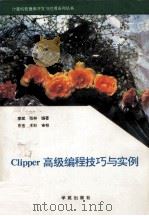 Clipper高级编程技巧与实例 1993 PDF电子版封面 7507708012 廖斌,张林编著