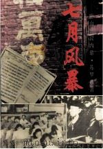 七月风暴（1994 PDF版）