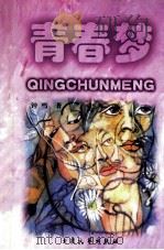 青春梦（1999 PDF版）