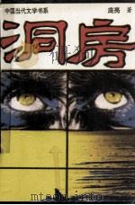 洞房  赌徒手记（1994 PDF版）