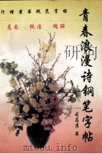 青春浪漫诗钢笔字帖（1994 PDF版）