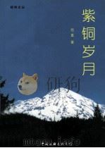 紫铜岁月（1998 PDF版）