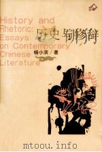 历史与修辞 1999 PDF电子版封面 7805875197 杨小滨著
