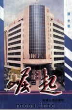 崛起（1994 PDF版）