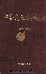 中国·九五理论纵横（1997 PDF版）