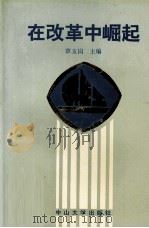 在改革中崛起 广东省茂名市化工一厂企业改革纪效 1991 PDF电子版封面 7306003674 覃玉岗主编
