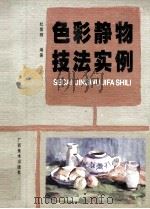 色彩静物技法实例 1999 PDF电子版封面 7806257594 杜崇刚编著