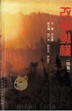 改革纵横  续集（1995 PDF版）