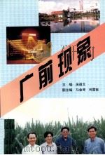 广前现象 1996 PDF电子版封面 庞道文主编;马金来,肖雷敏副主编