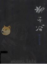柳子谷绘画作品选（ PDF版）