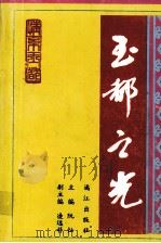 玉都之光 1998 PDF电子版封面 7540720778 凌远科编
