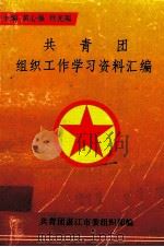 共青团  租住工作学习资料汇编（1996 PDF版）