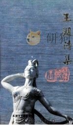 玉湖诗集 1988 PDF电子版封面 玉湖文艺基金会编