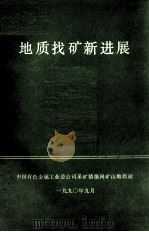 地质找矿新进展 1990 PDF电子版封面