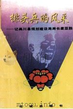 排头兵的风采:记吴川县规划局长麦亚胜 1995 PDF电子版封面 7536019610 孙伦,黎劲风等著