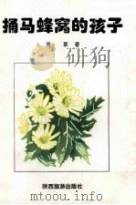 捅马蜂窝的孩子（1996 PDF版）