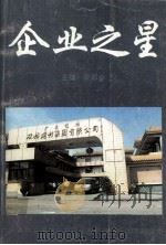 企业之星（1994 PDF版）