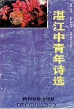 湛江中青年诗选 1996 PDF电子版封面 7541812439 黄振强主编