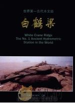 世界第一古代水文站-白鹤梁 中英文本 1995 PDF电子版封面 7800990648 中国人民政治协商会议四川省委员会涪陵地区工作委员会编