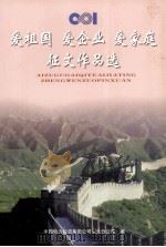 爱祖国 爱企业 爱家庭征文作品选 PDF电子版封面 中国电力投资集团公司东北分公司编