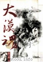 大漠魂 第18届联合文学奖中篇小说首奖作品 1997 PDF电子版封面 9570816708 雪波著