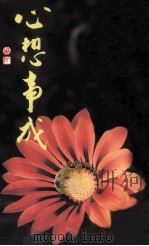 心想事成（1991 PDF版）