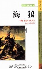 海狼（1990 PDF版）