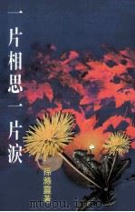 一片相思一片泪（1997 PDF版）