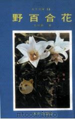 野百合花（1979 PDF版）
