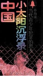 中国小太阳沉浮录  当代青少年犯罪的思考（1991 PDF版）