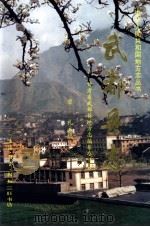 武都县志   1998  PDF电子版封面  7108011913  武都县地方志编纂委员会编；曾礼主编 