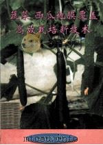 蔬菜西瓜地膜盖高效栽培新技术（1998 PDF版）