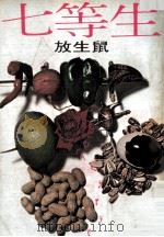 放生鼠 1977 PDF电子版封面 七等生著