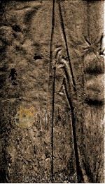 王氏六书存微 卷3 上 1916 PDF电子版封面 王闿运原定;喻谦撰
