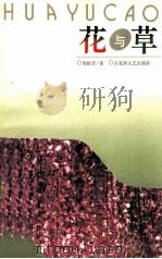 花与草（1996 PDF版）