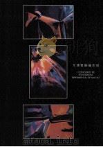 全澳实验摄影展（ PDF版）