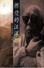 燃烧的汪洋（1999 PDF版）