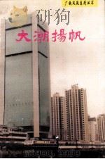 大潮扬帆（1995 PDF版）