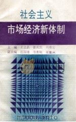 社会主义市场经济新体制（1993 PDF版）