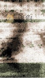 饮冰室文集  19（1926 PDF版）