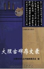 大理市古碑存文录 1996 PDF电子版封面 7536712669 大理市文化丛书编辑委员会编