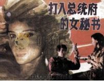 打入总统府的女秘书（1989 PDF版）