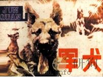 军犬（1986 PDF版）