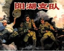 阳湖支队（1981 PDF版）