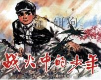 战火中的少年（1980 PDF版）