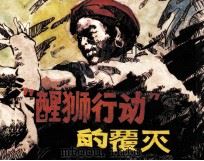 “醒狮行动”的覆灭 1984 PDF电子版封面 翟文早编