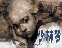 少林梦（1984 PDF版）