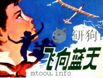 飞向蓝天（1981 PDF版）
